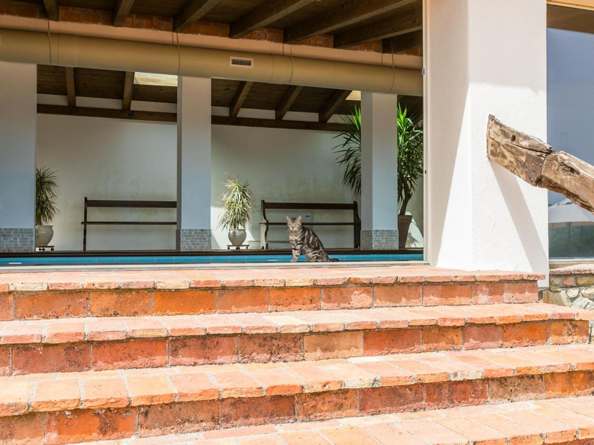 Apartment Santa Marta By Interhome Чиниджиано Экстерьер фото